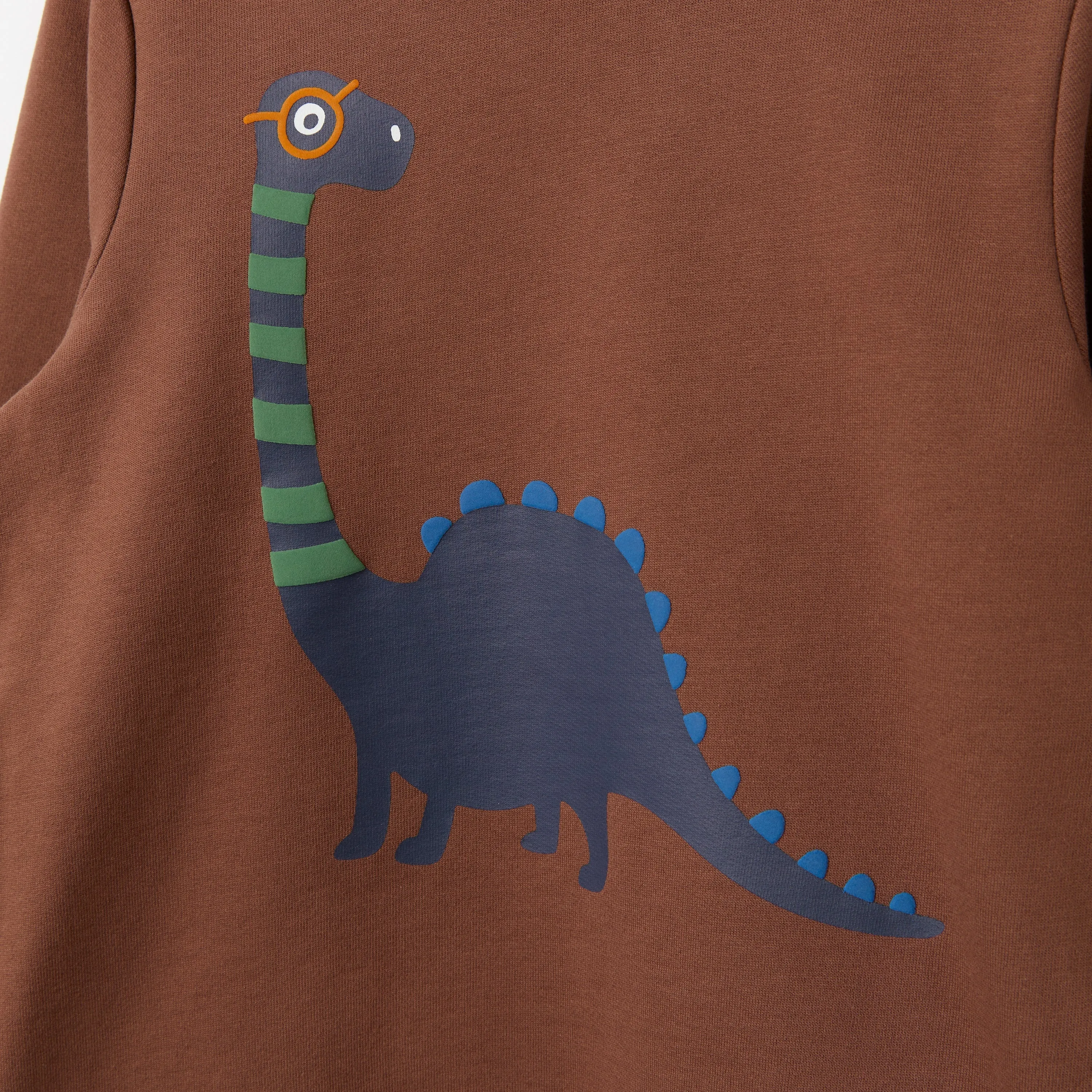 Dinosaur Print Sweatshirt