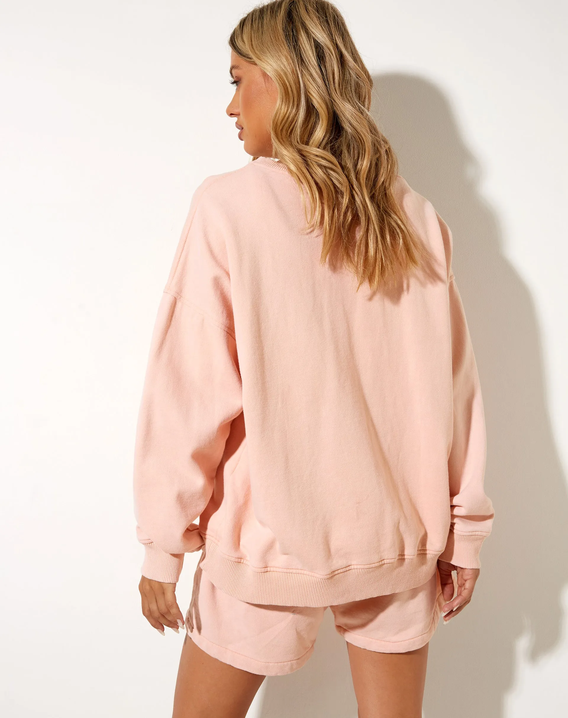 Ted Sweatshirt in Wash Out Peach Mushroom